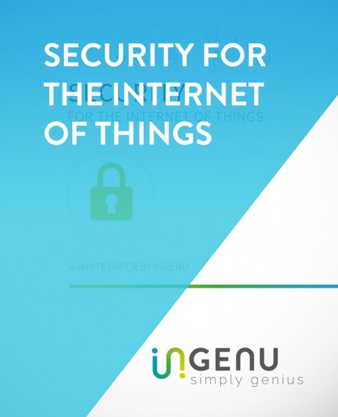 Security for the Internet of Things White Paper