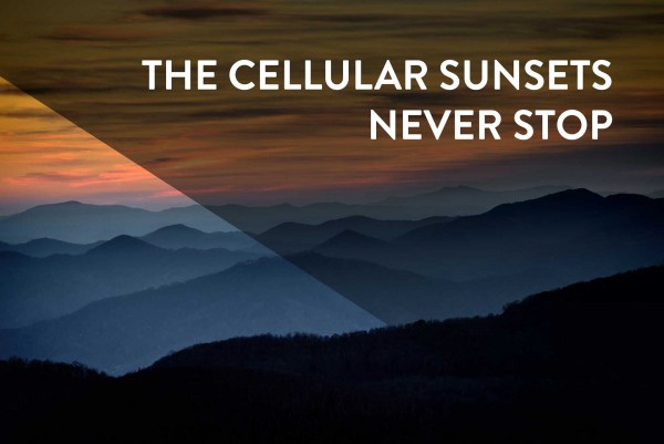 Cellular Sunsets Never Stop