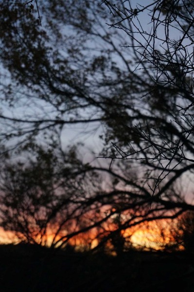 No more network sunsets