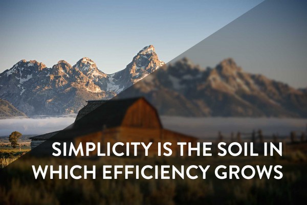 Simplicity is the soil in which efficiency grows