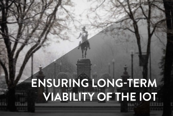 iot long term viability