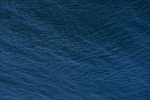 Ingenu Press Mention