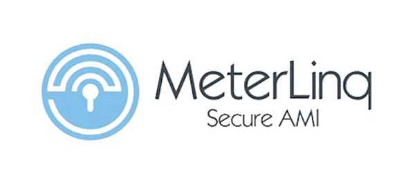 MeterLinq RPMA Catalog