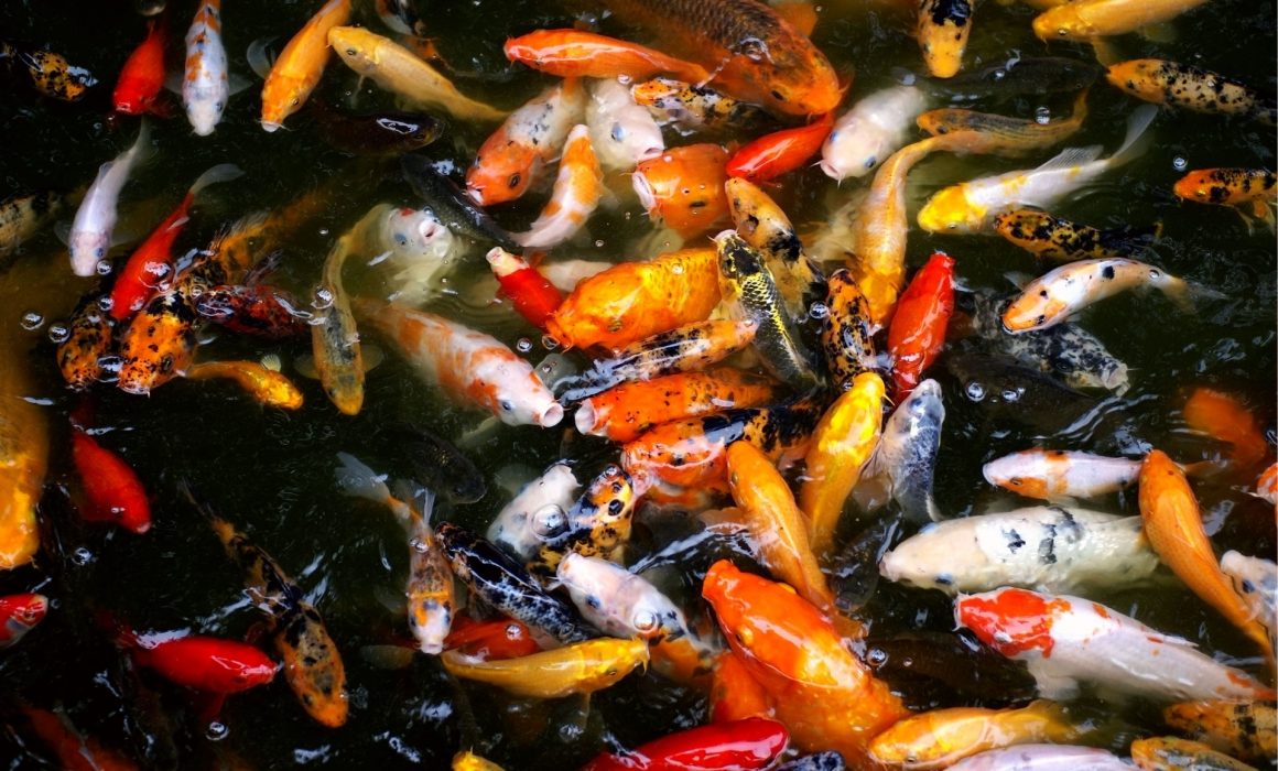 Working in 2.4 GHz spectrum