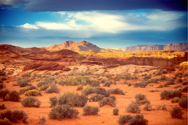 Internet of Things Business Case