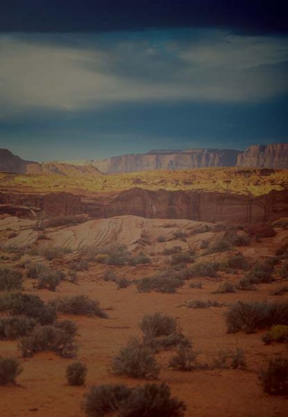 Learn how to leverage the Internet of Things