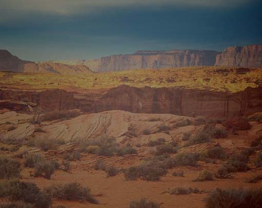 Learn how to leverage the Internet of Things