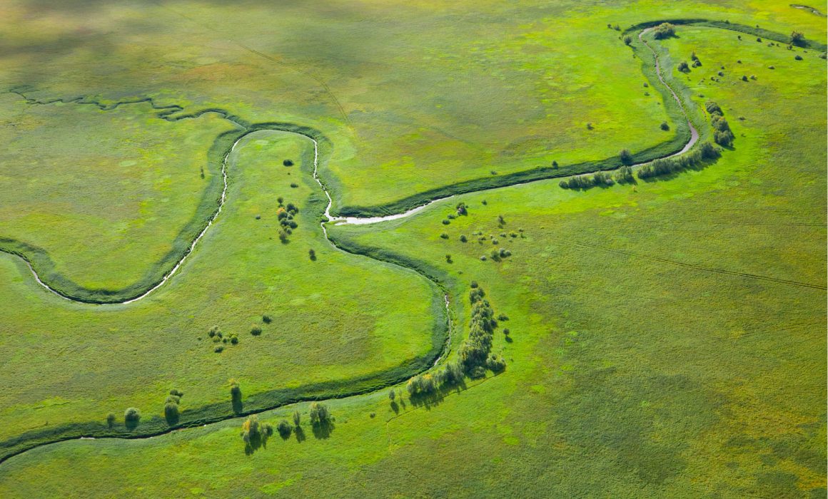 RPMA solves your coverage issues