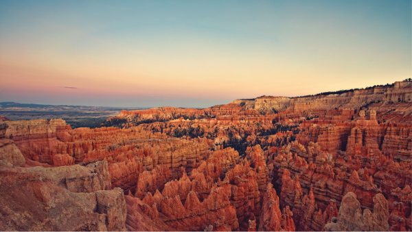 where to find the value in investing in the internet of things