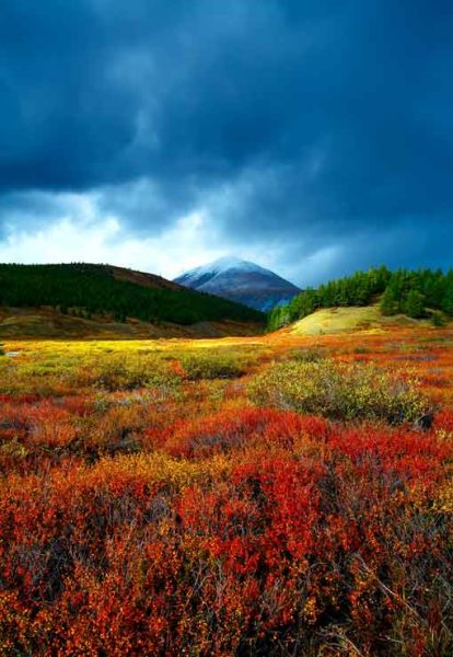 Seven unpleasant surprises about NB-IoT