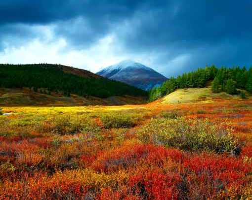 Seven unpleasant surprises about NB-IoT