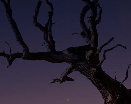 Nine LoRaWAN Surprises