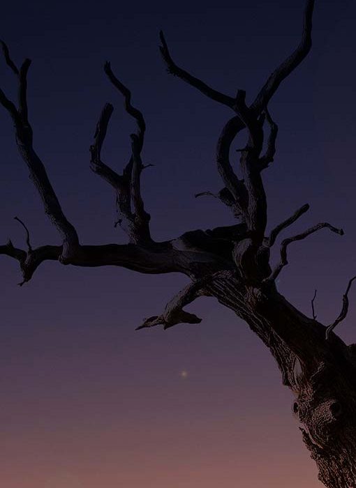 Nine LoRaWAN Surprises