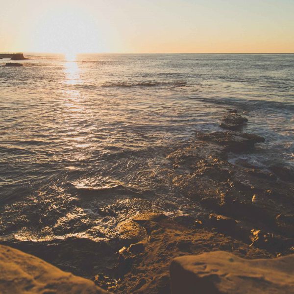 RPMA Coverage in San Diego